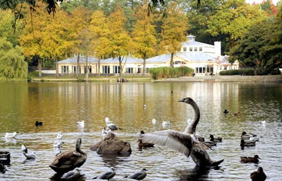 Villa Rosali Boutique Hotel Hamburg Kültér fotó